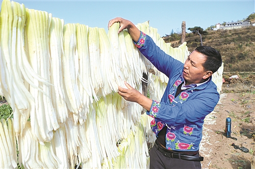 云南南华县烟草局（分公司）引导烟农发展烟后萝卜种植产业
