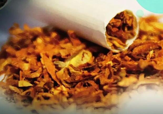南非禁烟令将对税收产生重大打击-卷烟涨到59元/包能起到控烟效果吗？