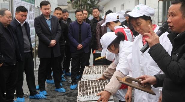 重庆巫溪分公司全面启动2023年烟叶育苗工作
