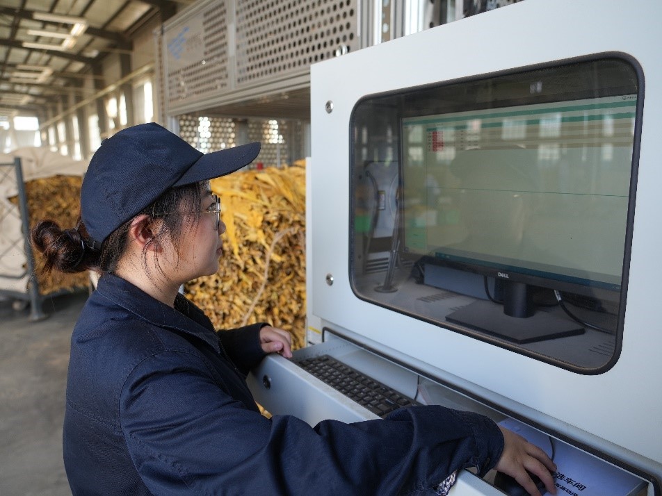 工作人员使用近红外框分析系统检测烟叶